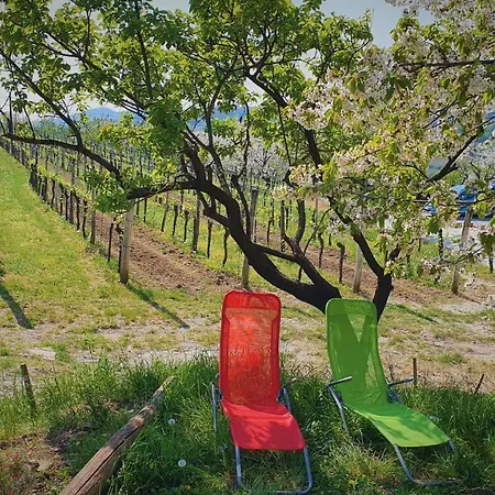 Homestay szállás Entire House In The Heart Of Kozana Dobrovo