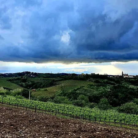 Homestay szállás Entire House In The Heart Of Kozana *