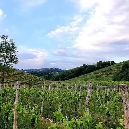 Entire House In The Heart Of Kozana Homestay szállás